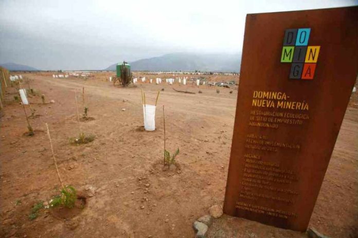 Proyecto Dominga