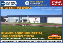 Remate Planta Exportadora 100% Operativa en Rengo: Una Oportunidad Única para el Sector Frutícola