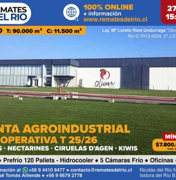 Remate Planta Exportadora 100% Operativa en Rengo: Una Oportunidad Única para el Sector Frutícola