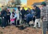 Un jardín de lluvia para enfriar la ciudad: San Bernardo apuesta por soluciones basadas en la naturaleza