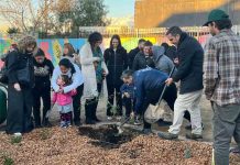 Un jardín de lluvia para enfriar la ciudad: San Bernardo apuesta por soluciones basadas en la naturaleza