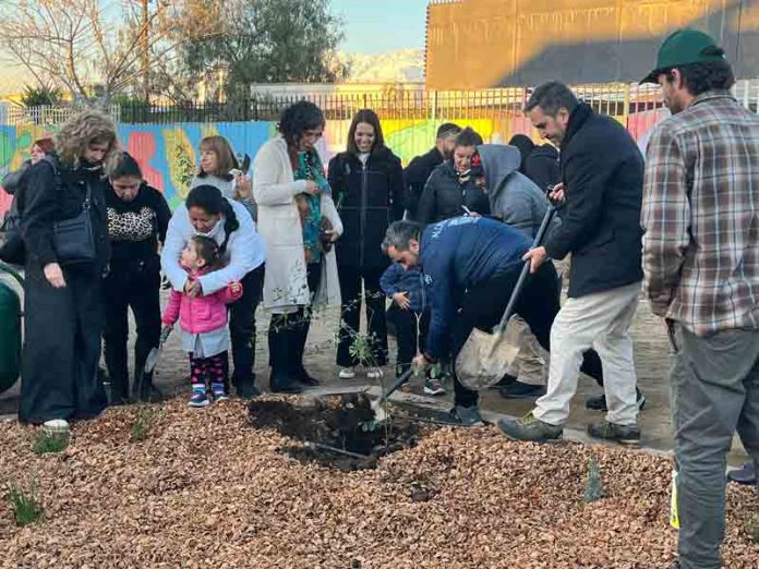Un jardín de lluvia para enfriar la ciudad: San Bernardo apuesta por soluciones basadas en la naturaleza