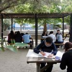 Vacaciones de invierno con naturaleza y sin pantalla