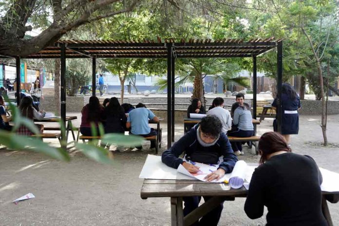 Vacaciones de invierno con naturaleza y sin pantalla
