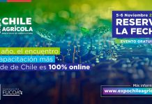 Anuncian fechas y novedades de Expo Chile Agrícola 2025