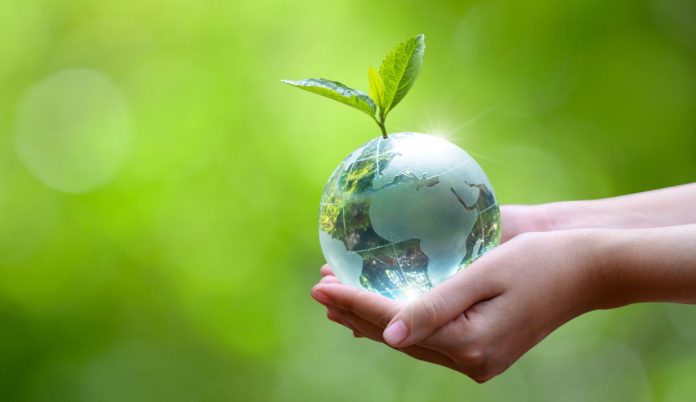 Día Mundial del Medio Ambiente 2025: DropIt y EcoDesierto lideran el cambio sostenible desde Chile