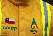funcionarios de CONAF
