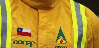 funcionarios de CONAF
