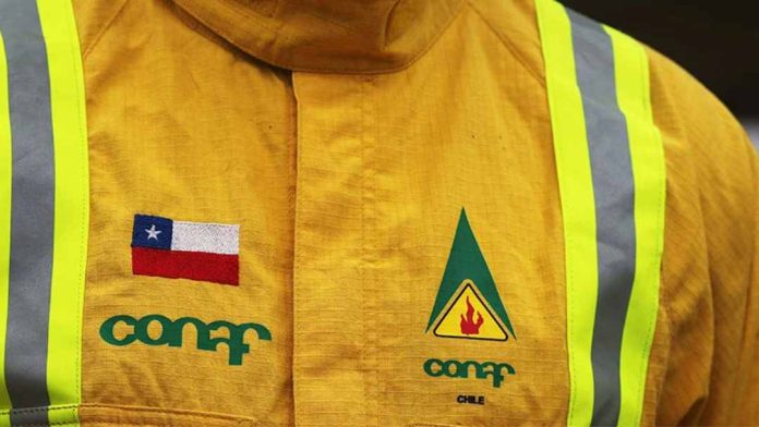funcionarios de CONAF