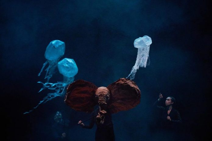 Una experiencia artística que conecta con el mundo animal se presenta Enel TRM
