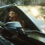 Chevrolet evoluciona la movilidad conectada y lanza OnStar Pets