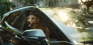 Chevrolet evoluciona la movilidad conectada y lanza OnStar Pets