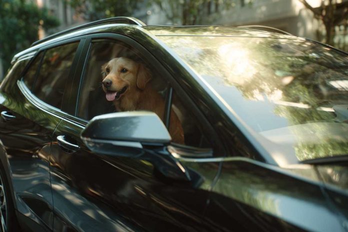 Chevrolet evoluciona la movilidad conectada y lanza OnStar Pets