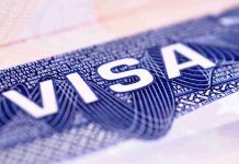 Conoce las alternativas que tienen los chilenos para migrar o iniciar negocios legalmente a Estados Unidos