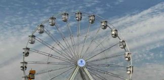 CurrencyBird y Pix: una solución para el turismo