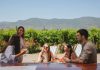 El gran momento del turismo vitivinícola sustentable en el Valle de Colchagua
