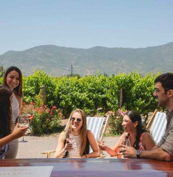 El gran momento del turismo vitivinícola sustentable en el Valle de Colchagua