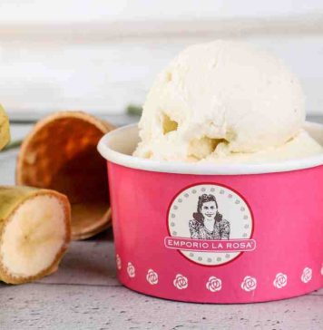 El nuevo oro blanco: helado chileno conquista paladares y cifras récord