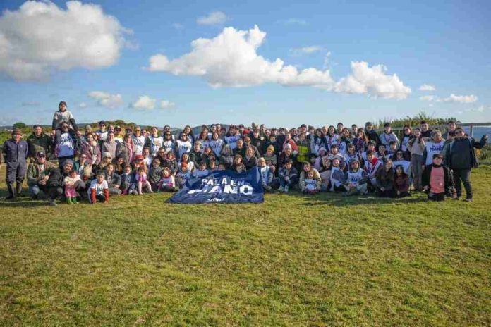 Festival Pala en Mano plantó 4 mil árboles para reforestar el bosque nativo chilote