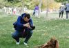 Haz que tu perro luzca como una estrella con esta guía de consejos fotográficos