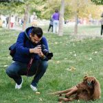 Haz que tu perro luzca como una estrella con esta guía de consejos fotográficos