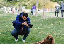Haz que tu perro luzca como una estrella con esta guía de consejos fotográficos