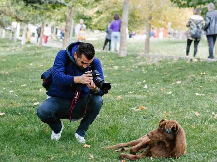 Haz que tu perro luzca como una estrella con esta guía de consejos fotográficos