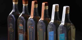 Pisco chileno obtiene doble oro en Londres y es elegido "Destilería del Año" en Nueva York