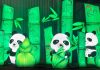 Tianfu festival: el evento familiar para estas vacaciones de invierno
