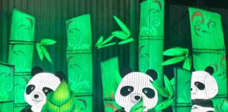 Tianfu festival: el evento familiar para estas vacaciones de invierno