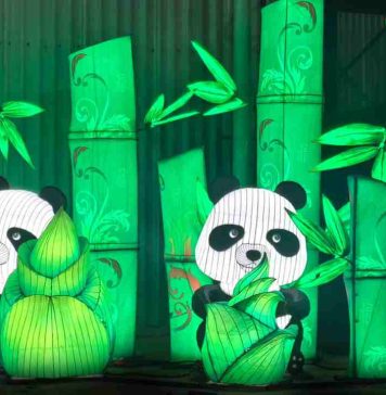 Tianfu festival: el evento familiar para estas vacaciones de invierno