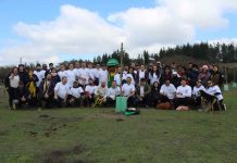 Turbus y Conaf reforestan sector de Reserva Nacional Lago Peñuelas afectado por megaincendio del 2024