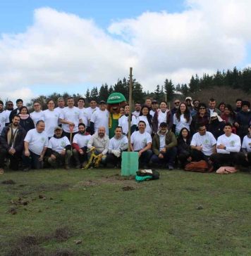 Turbus y Conaf reforestan sector de Reserva Nacional Lago Peñuelas afectado por megaincendio del 2024