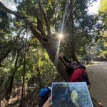 UNA JORNADA DE CUENTOS Y NATURALEZA: EL REGALO DE BIOBÍO EN 100 PALABRAS PARA EL DÍA DE LA NIÑEZ