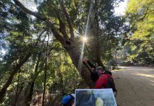 UNA JORNADA DE CUENTOS Y NATURALEZA: EL REGALO DE BIOBÍO EN 100 PALABRAS PARA EL DÍA DE LA NIÑEZ