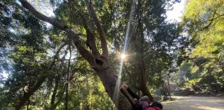 UNA JORNADA DE CUENTOS Y NATURALEZA: EL REGALO DE BIOBÍO EN 100 PALABRAS PARA EL DÍA DE LA NIÑEZ