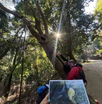 UNA JORNADA DE CUENTOS Y NATURALEZA: EL REGALO DE BIOBÍO EN 100 PALABRAS PARA EL DÍA DE LA NIÑEZ