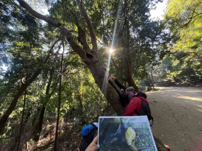 UNA JORNADA DE CUENTOS Y NATURALEZA: EL REGALO DE BIOBÍO EN 100 PALABRAS PARA EL DÍA DE LA NIÑEZ