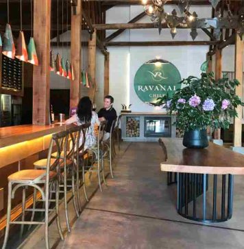 Viña Ravanal lanza nueva línea de vinos y se la juega por cepa Marselan