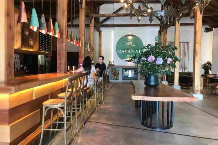 Viña Ravanal lanza nueva línea de vinos y se la juega por cepa Marselan