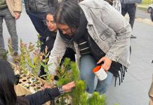“Lo bueno de ser renovables”: La última iniciativa de Empresa ARAUCO que refuerza su compromiso sostenible
