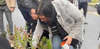 “Lo bueno de ser renovables”: La última iniciativa de Empresa ARAUCO que refuerza su compromiso sostenible