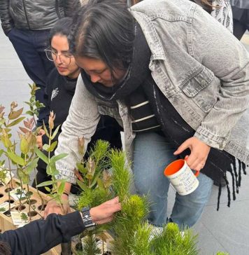 “Lo bueno de ser renovables”: La última iniciativa de Empresa ARAUCO que refuerza su compromiso sostenible