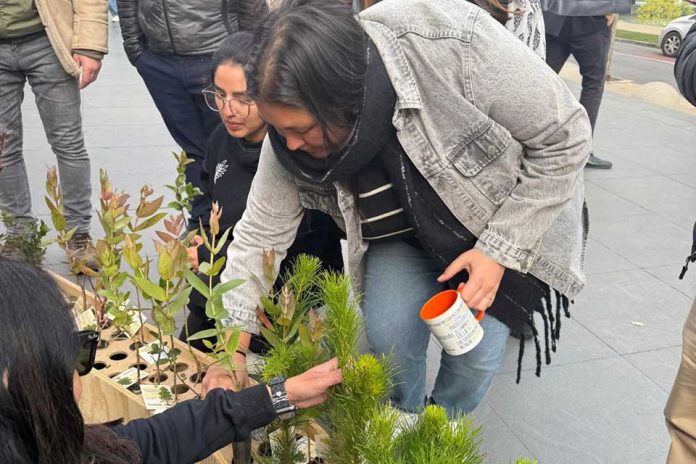 “Lo bueno de ser renovables”: La última iniciativa de Empresa ARAUCO que refuerza su compromiso sostenible
