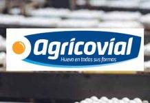 Agricovial en Espacio Food Service: innovación y calidad en huevos y ovoproductos para la industria alime