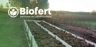 Biofert y su CEO, Roberto Verdejo: La Lombricultura Intensiva, aporta nutrientes y bioestimulantes benéficos en la agricultura y baja los costos en fertilizantes