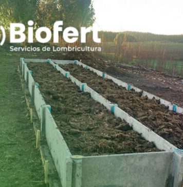 Biofert y su CEO, Roberto Verdejo: La Lombricultura Intensiva, aporta nutrientes y bioestimulantes benéficos en la agricultura y baja los costos en fertilizantes