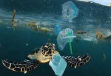 Buscan 10 soluciones innovadoras para acelerar la circularidad de los plásticos