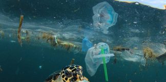 Buscan 10 soluciones innovadoras para acelerar la circularidad de los plásticos