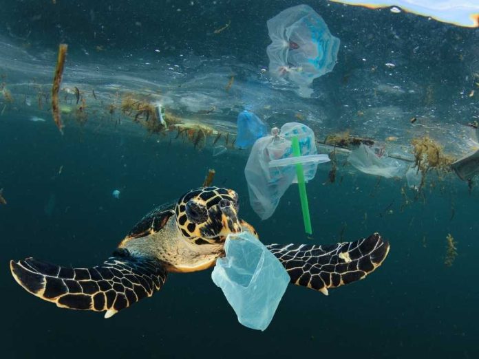 Buscan 10 soluciones innovadoras para acelerar la circularidad de los plásticos